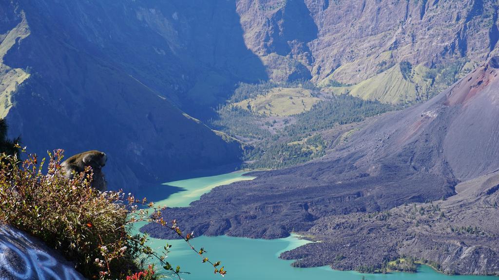 Rinjani Trails Hotel Senaru Zewnętrze zdjęcie